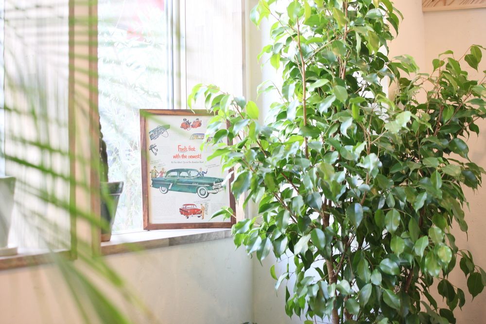 פוקוצ'יאמה North Front Hostel מראה חיצוני תמונה